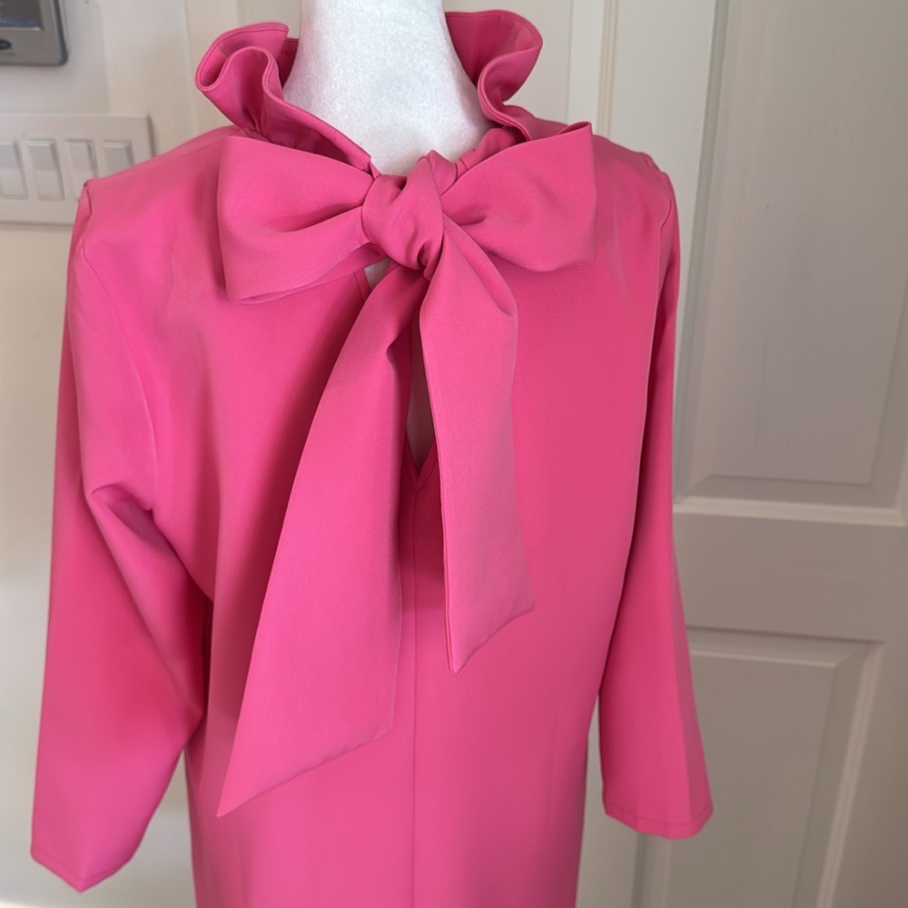 Tuckernuck - Hot Pink Daphne Mini Dress - Size: Medium - Picture 7 of 9